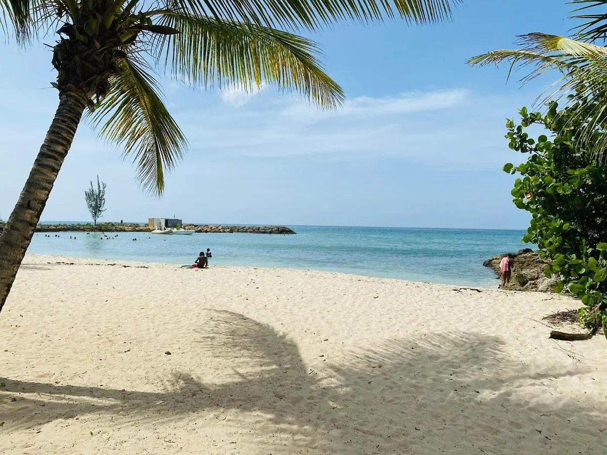 Vanille, A Proximite Des Plages, Idealement Situe Pour Visiter La Guadeloupe 哥西尔 度假居